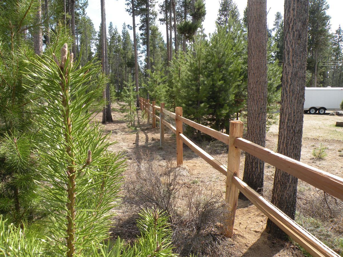 Cozy Cabin Lapine La Pine Bilik gambar